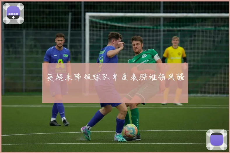英超未降级球队年度表现谁领风骚